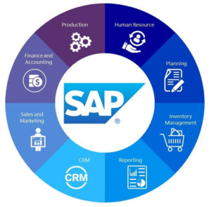 Top SAP Institute in Meerut